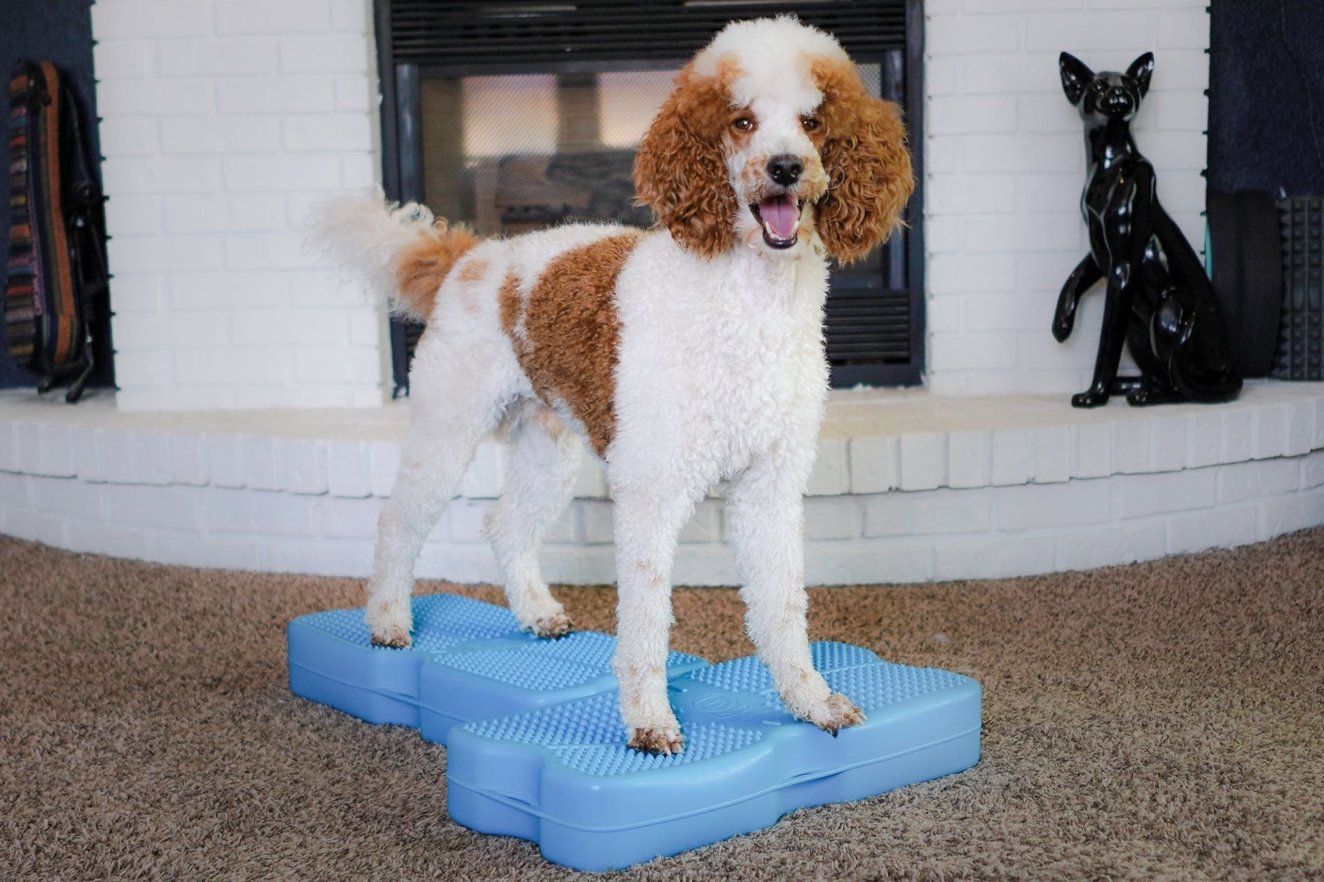 Propel Air Platform Collection | Dog Training Products by Blue-9