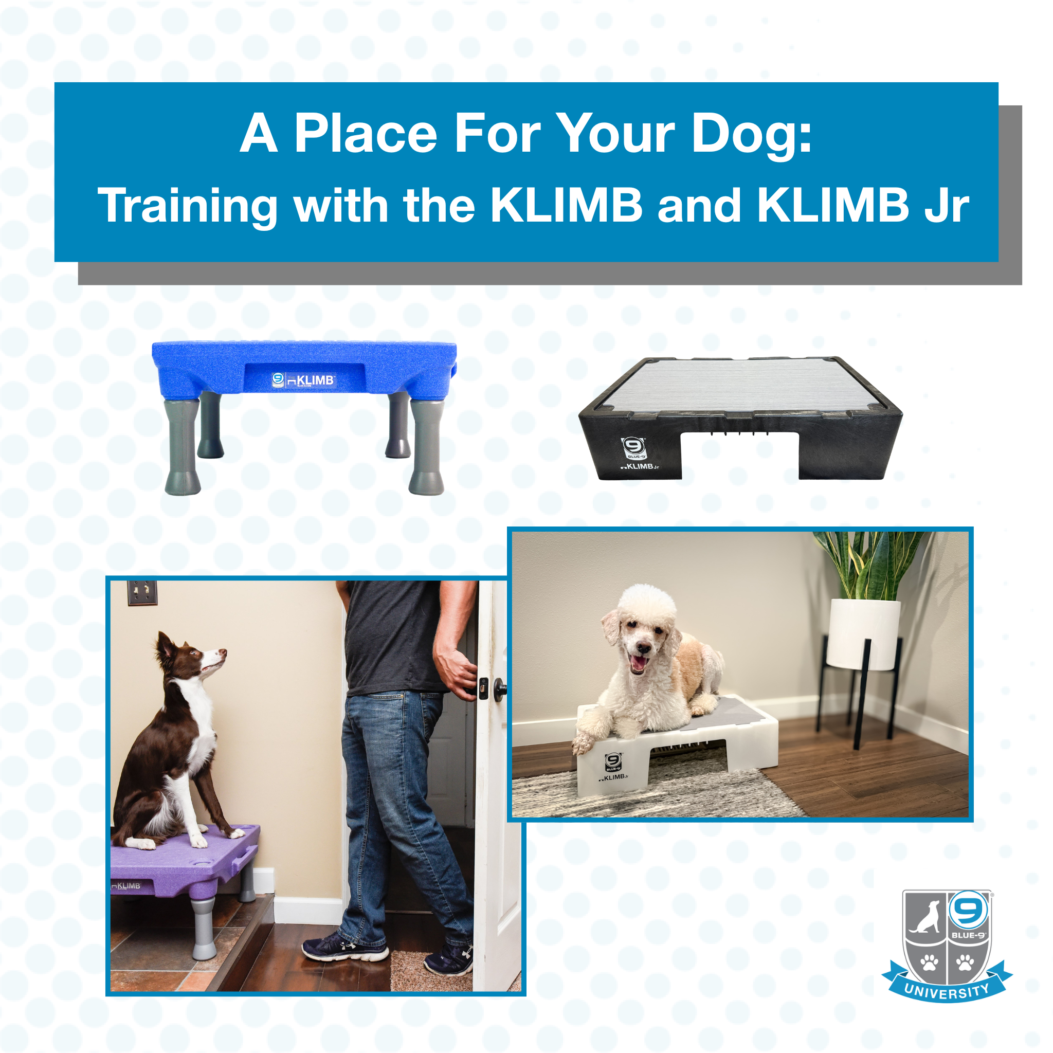 洋楽 Rup Dog A_Place_For_Your_Dog_Training_