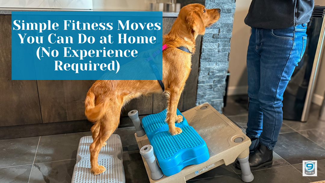 Simple Fitness Moves You Can Do at Home (No Experience Required)