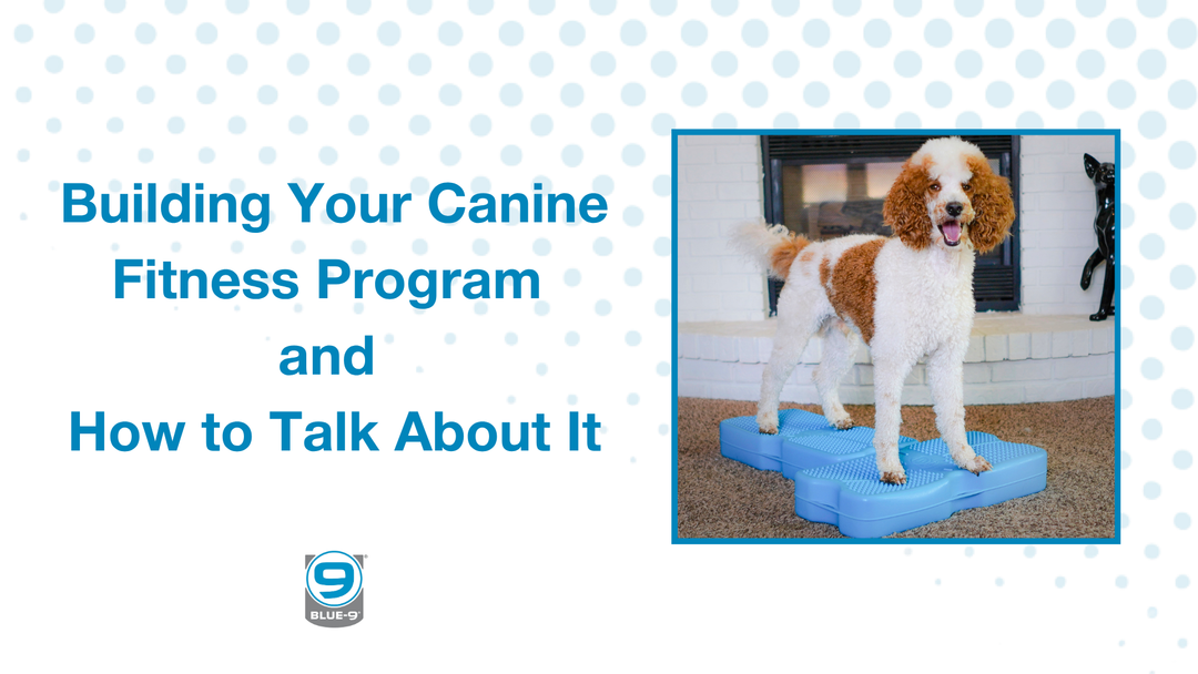 Building Your Canine Fitness Program and How to Talk About It