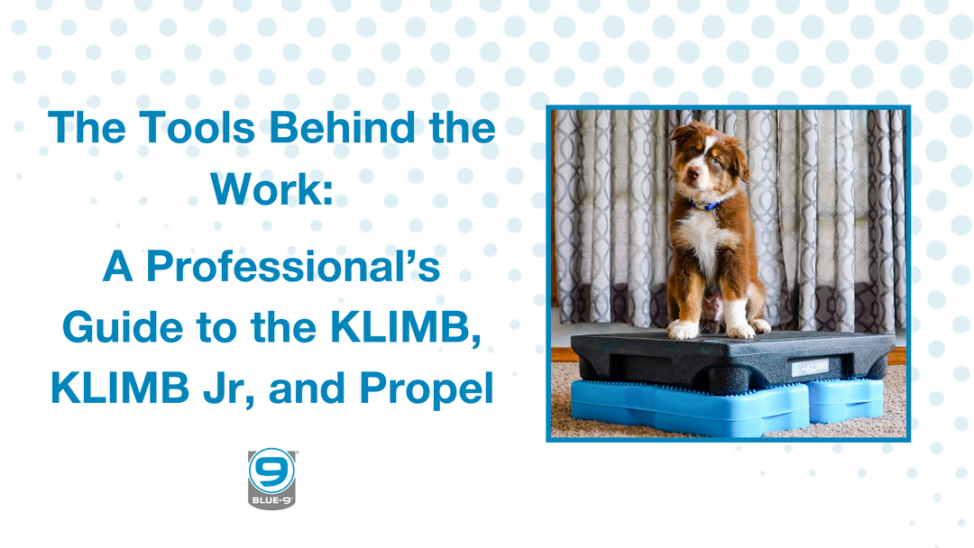 The Tools Behind the Work: A Professional's Guide to the KLIMB, KLIMB Jr., and Propel