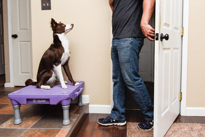 Doorbell Challenge Videos