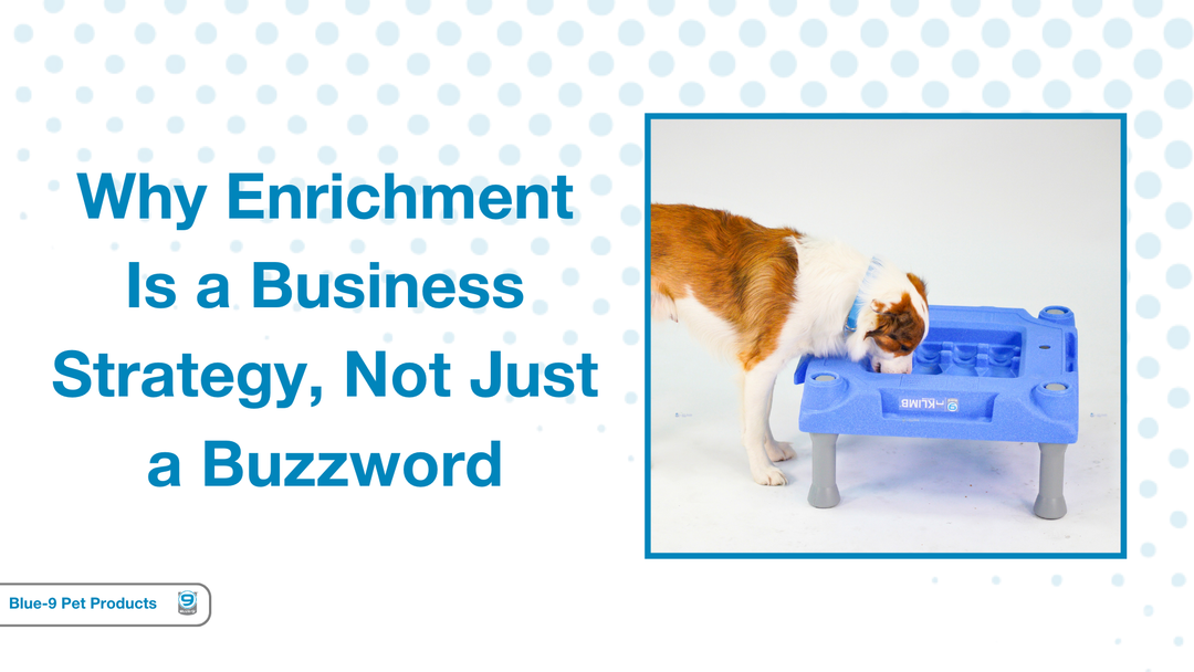 Why Enrichment Is a Business Strategy, Not Just a Buzzword