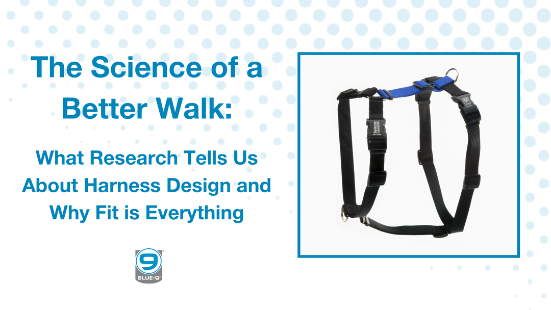 The Science of a Better Walk: What Research Tells Us About Harness Design and Why Fit Is Everything
