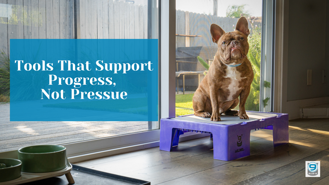 Tools That Support Progress, Not Pressure