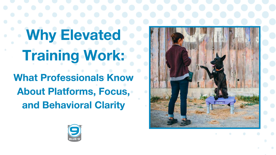 Why Elevated Training Works: What Professionals Know About Platforms, Focus, and Behavioral Clarity