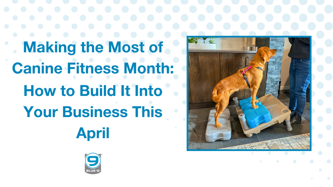 Making the Most of Canine Fitness Month: How to Build It Into Your Business This April
