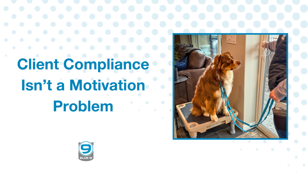 Client Compliance Isn't a Motivation Problem