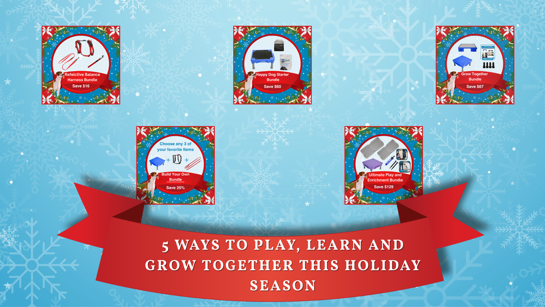 5 Ways to Play, Learn and Grow Together This Holiday Season