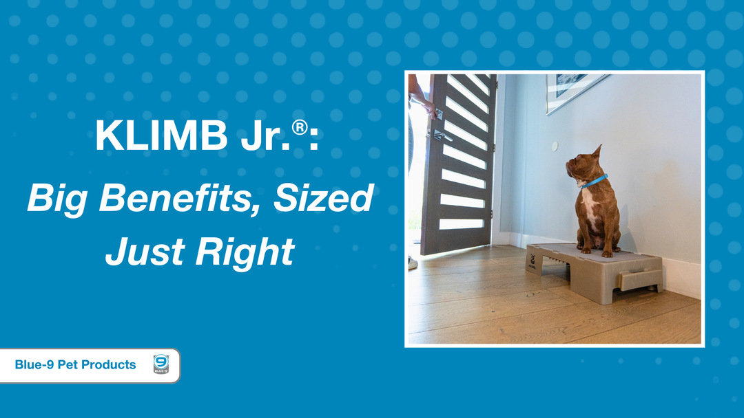 KLIMB Jr.®: Big Benefits, Sized Just Right