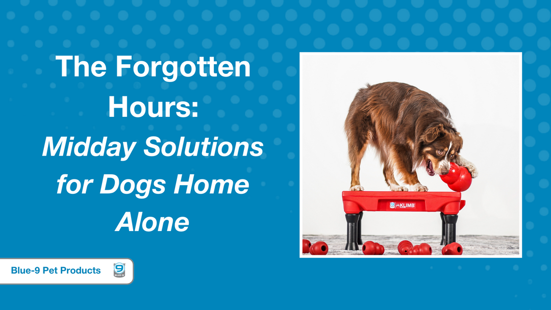 The Forgotten Hours: Midday Solutions for Dogs Home Alone