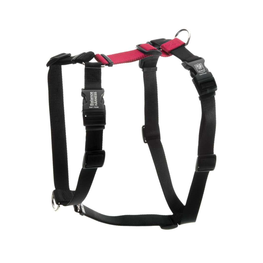 Why the Balance Harness is an Award-Winning No-Pull Harness
