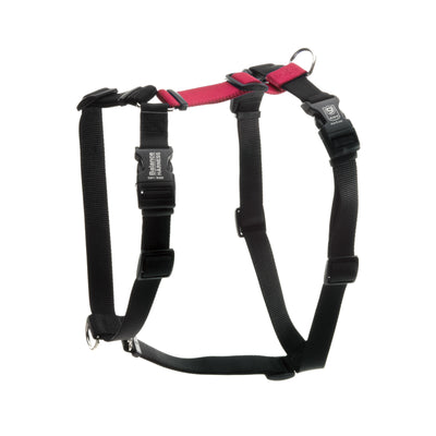 Gait Analysis in Dogs