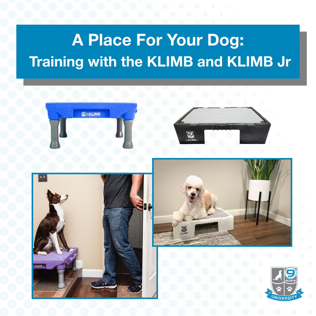 A Place For Your Dog Training KLIMB and KLIMB Jr – Blue-9 Pet