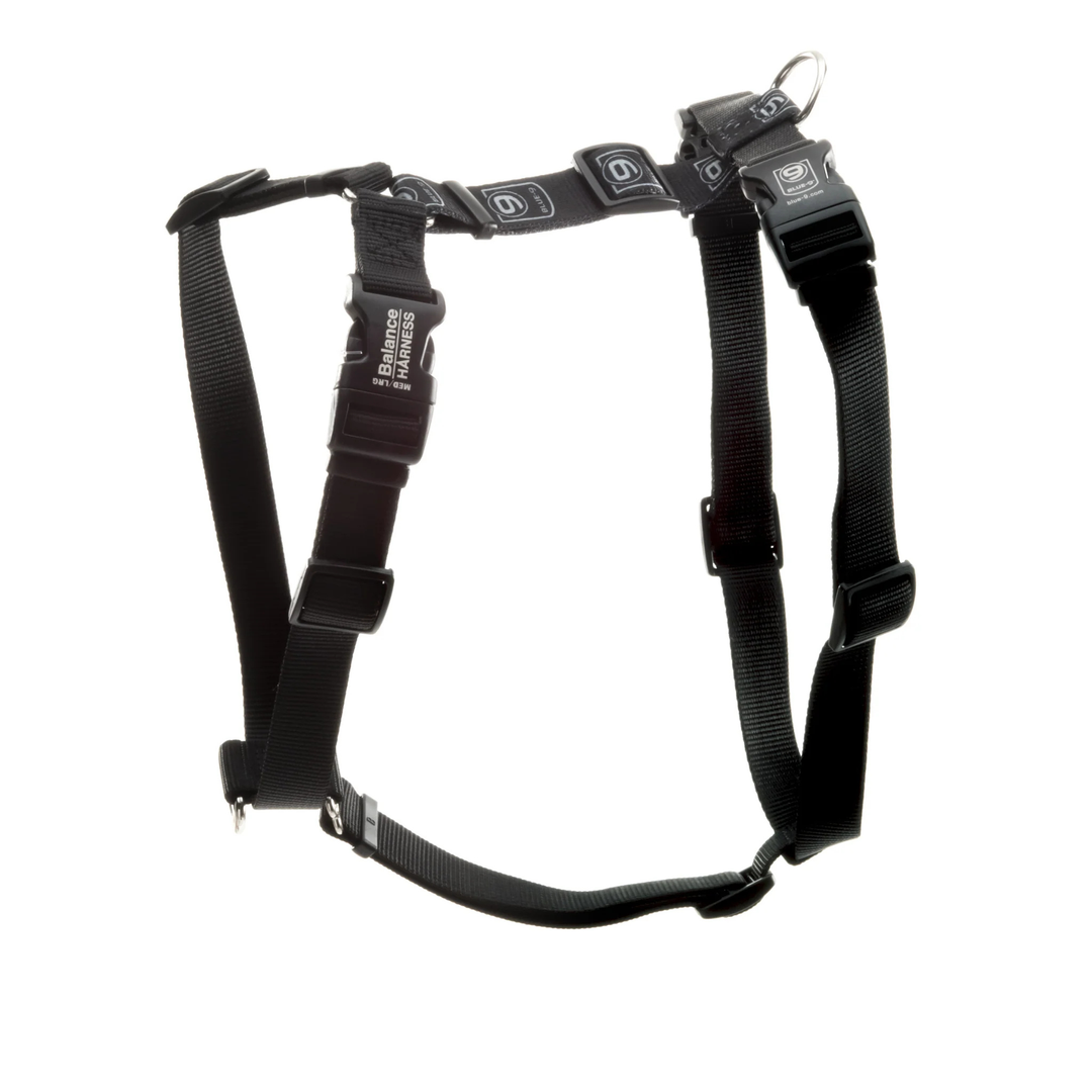 Balance Harness
