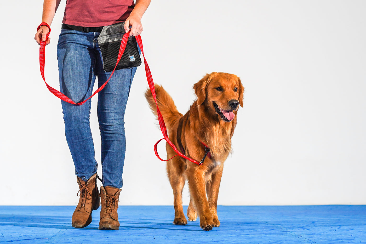 Blue9 Pet Products Dog Training Solutions & More
