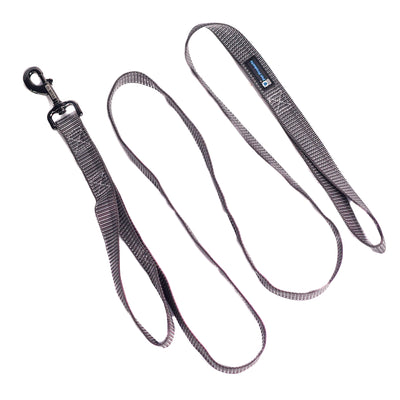 Reflective 6' Leash