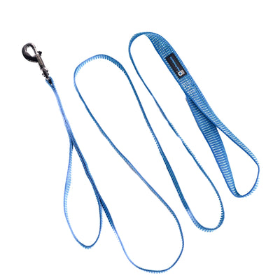 Reflective 6' Leash