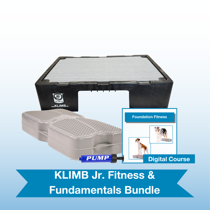 KLIMB Jr. Fitness & Fundamentals Bundle