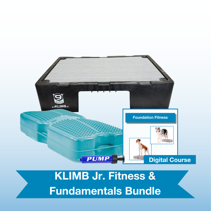 KLIMB Jr. Fitness & Fundamentals Bundle