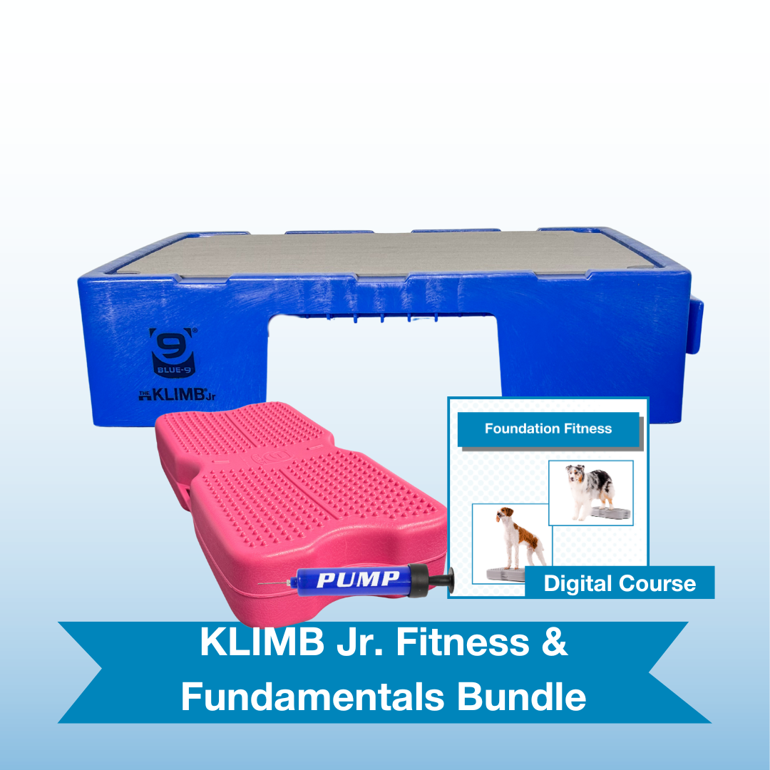 KLIMB Jr. Fitness & Fundamentals Bundle