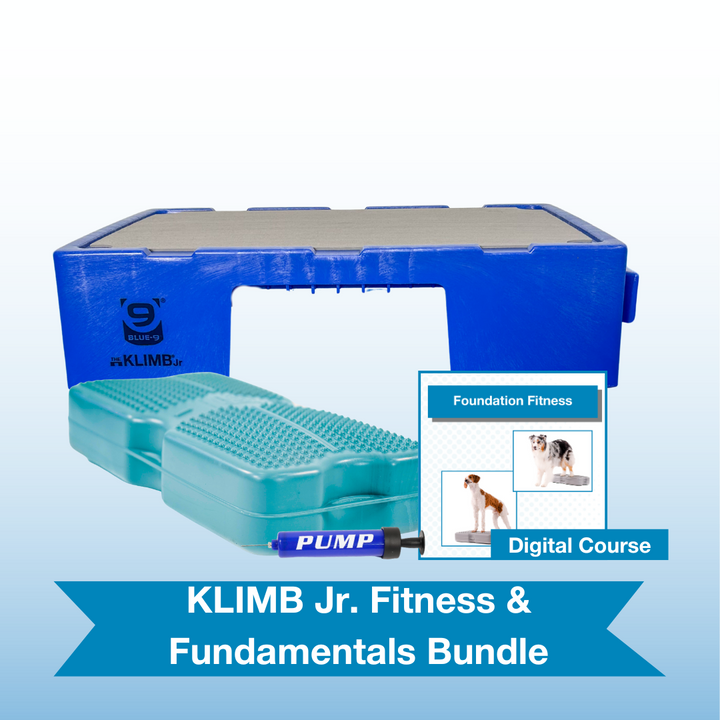 KLIMB Jr. Fitness & Fundamentals Bundle
