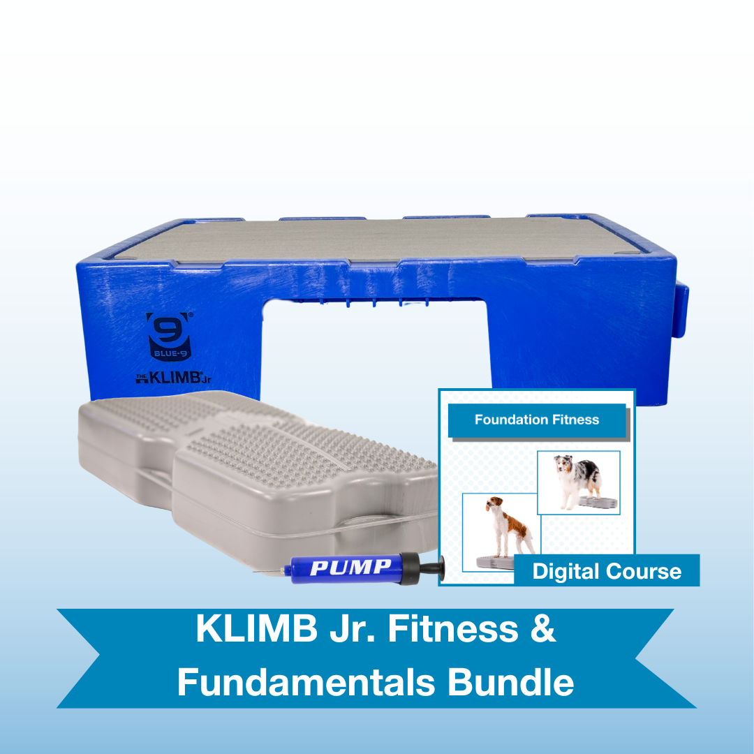 KLIMB Jr. Fitness & Fundamentals Bundle