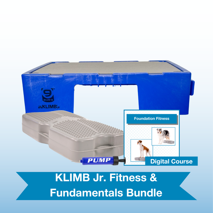 KLIMB Jr. Fitness & Fundamentals Bundle