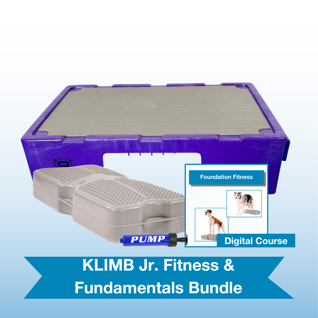KLIMB Jr. Fitness & Fundamentals Bundle