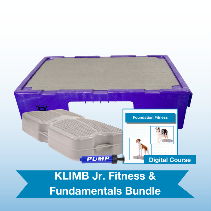 KLIMB Jr. Fitness & Fundamentals Bundle