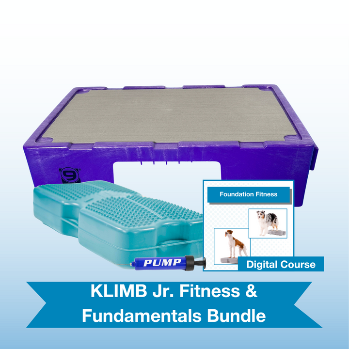 KLIMB Jr. Fitness & Fundamentals Bundle