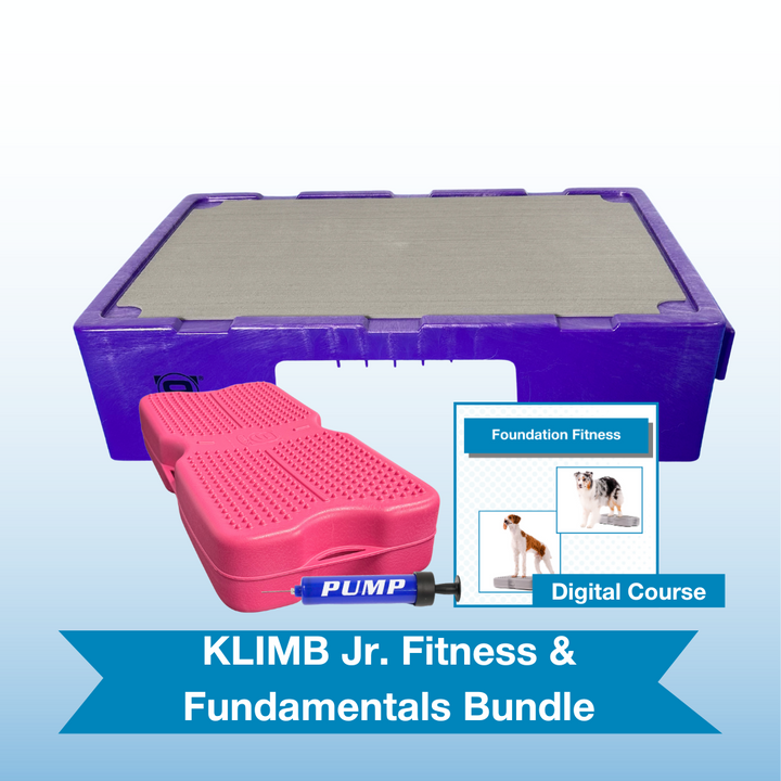 KLIMB Jr. Fitness & Fundamentals Bundle