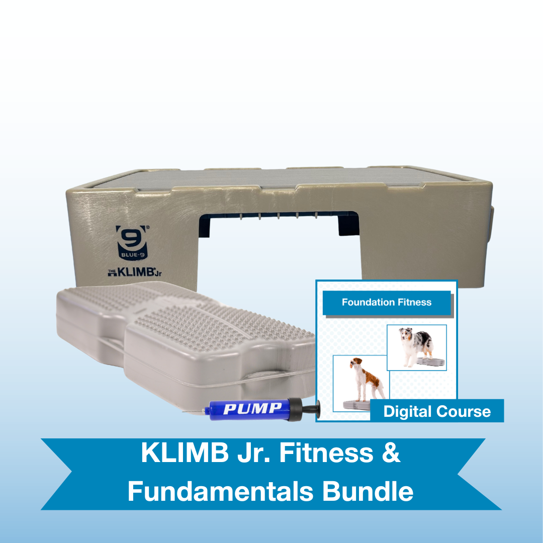 KLIMB Jr. Fitness & Fundamentals Bundle