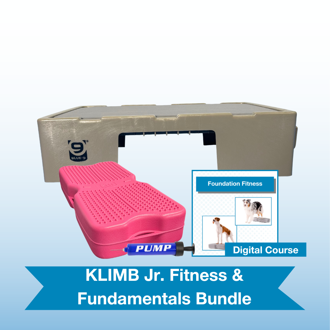 KLIMB Jr. Fitness & Fundamentals Bundle