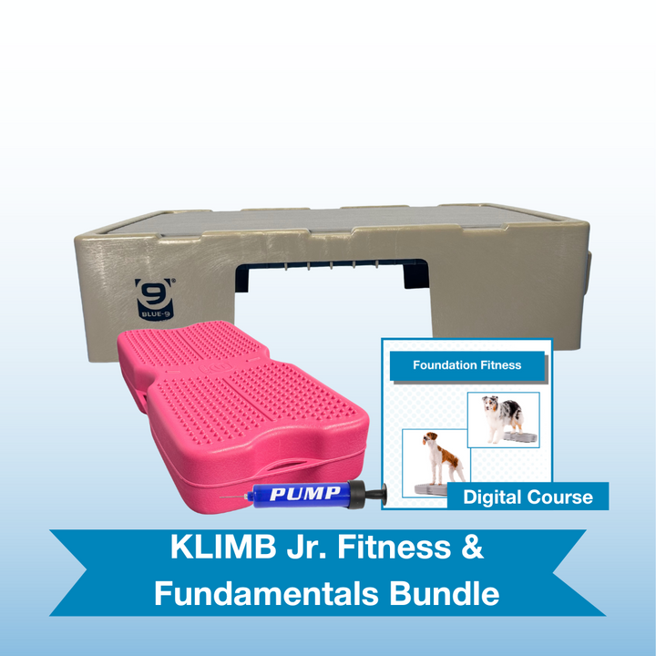 KLIMB Jr. Fitness & Fundamentals Bundle