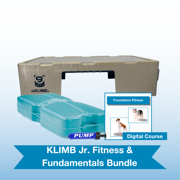 KLIMB Jr. Fitness & Fundamentals Bundle