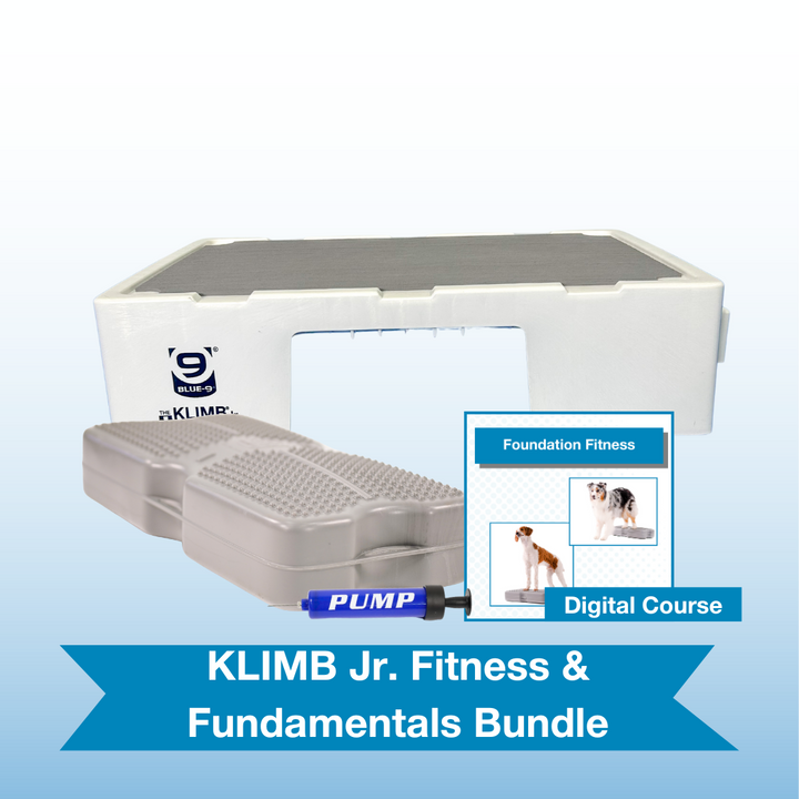 KLIMB Jr. Fitness & Fundamentals Bundle