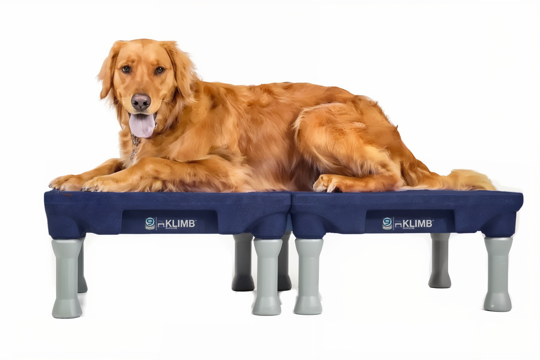Limited Edition Midnight Blue KLIMB