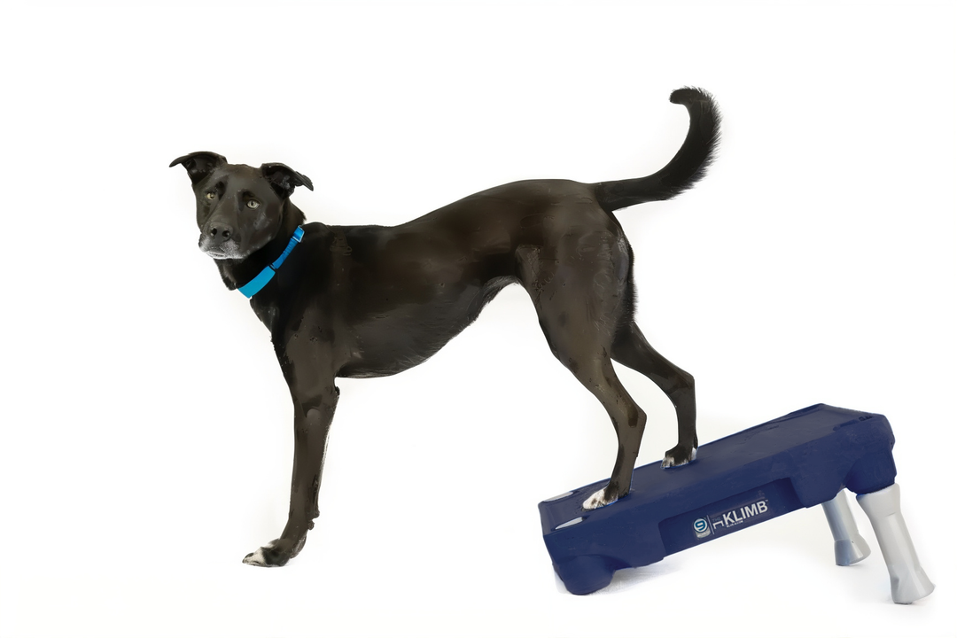 Limited Edition Midnight Blue KLIMB