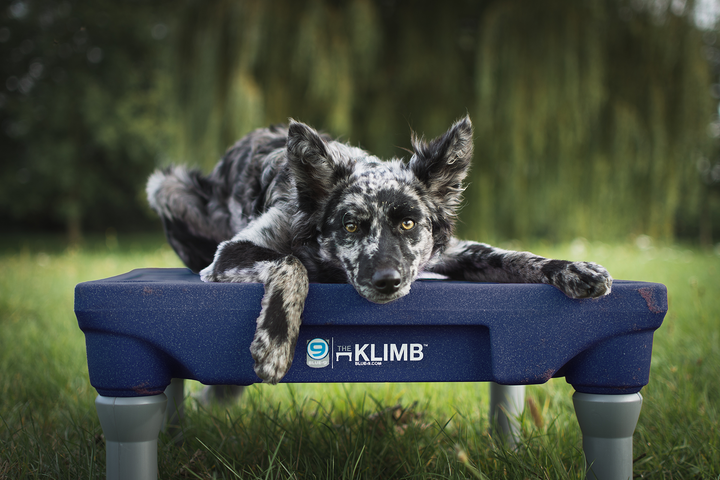 Limited Edition Midnight Blue KLIMB