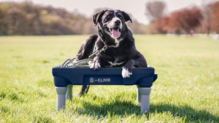 Limited Edition Midnight Blue KLIMB