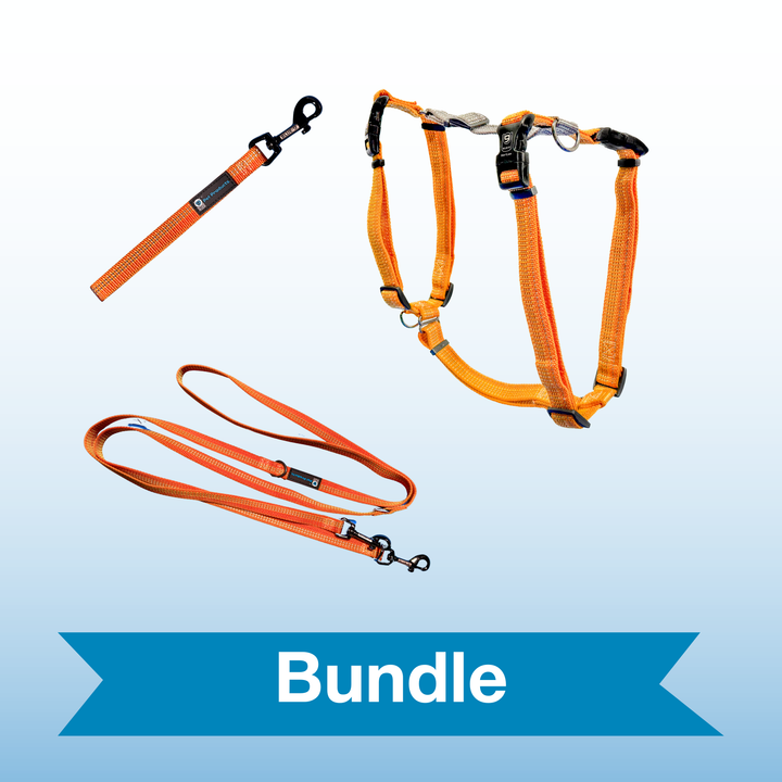 Orange Reflective Balance Harness with Multi-Function Leash