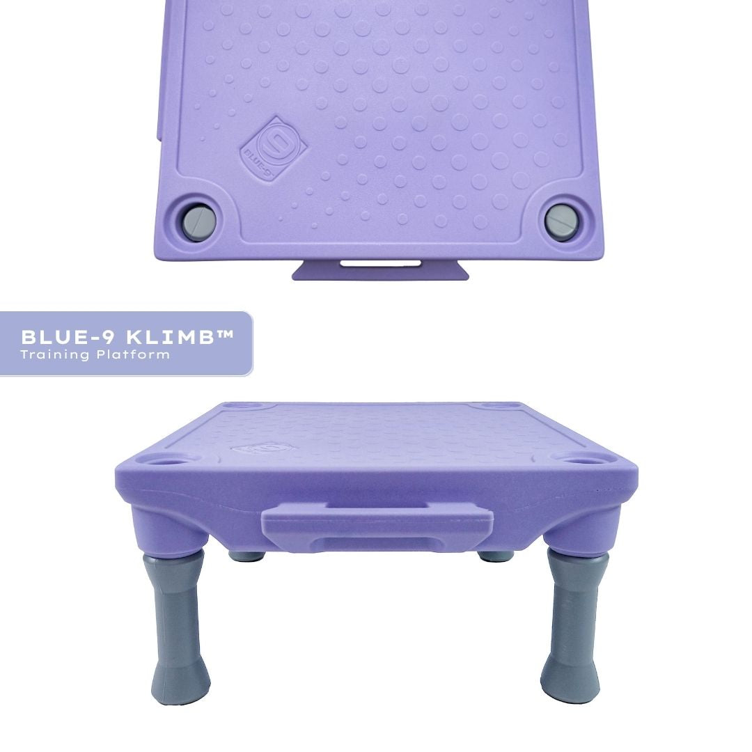 Blue-9 x FitPaws Periwinkle Training Bundle