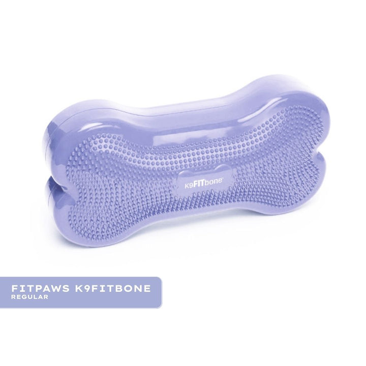 Blue-9 x FitPaws Periwinkle Training Bundle