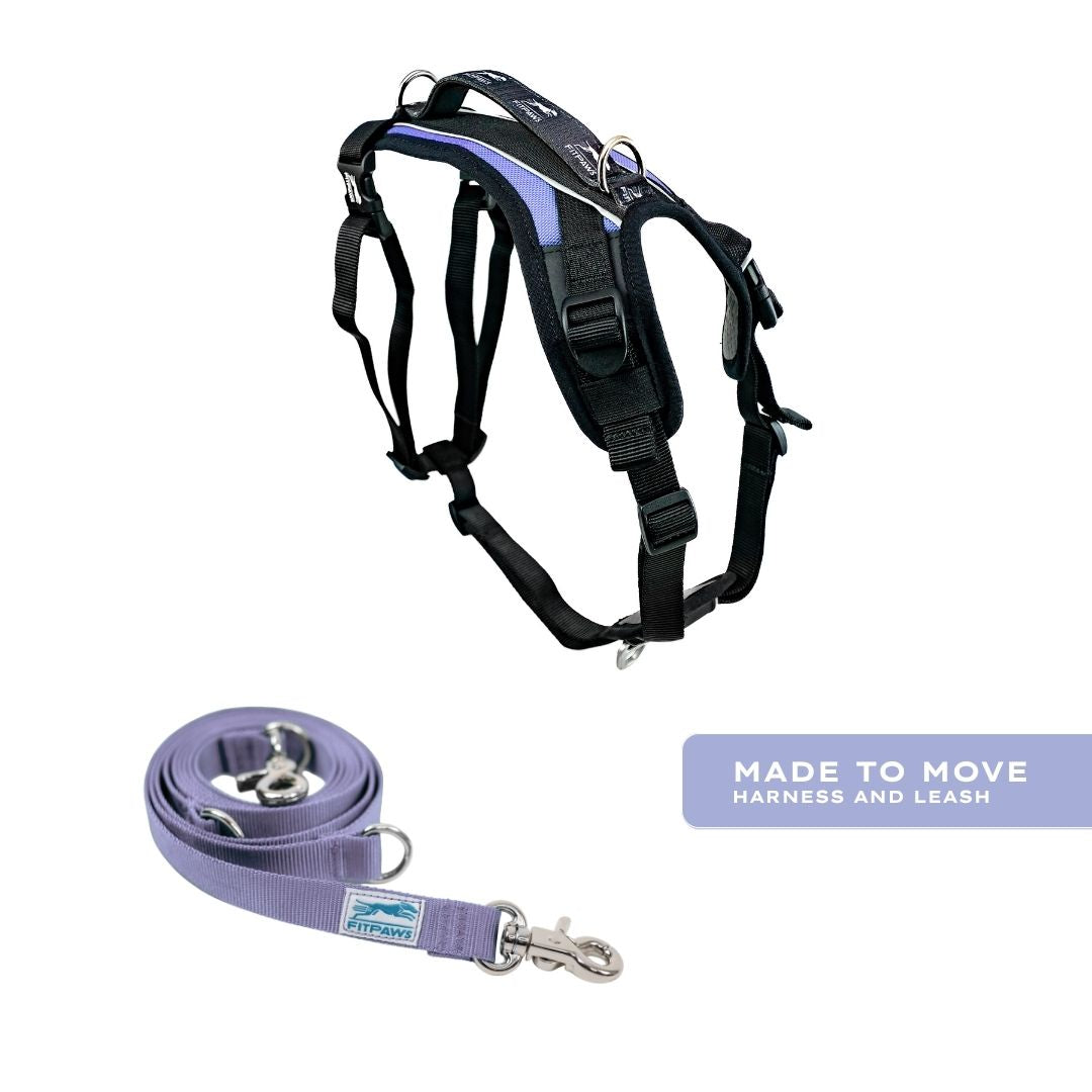 Blue-9 x FitPaws Periwinkle Training Bundle
