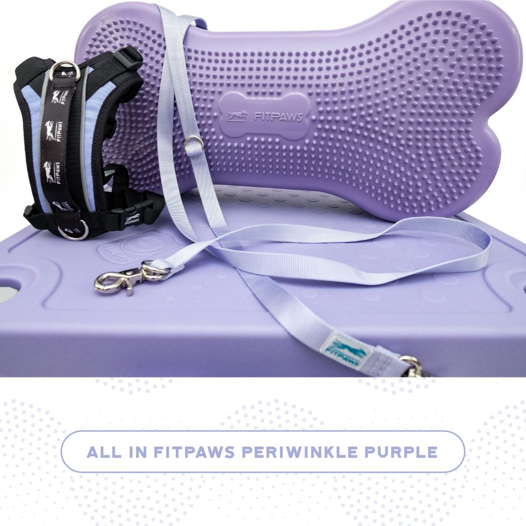 Blue-9 x FitPaws Periwinkle Training Bundle