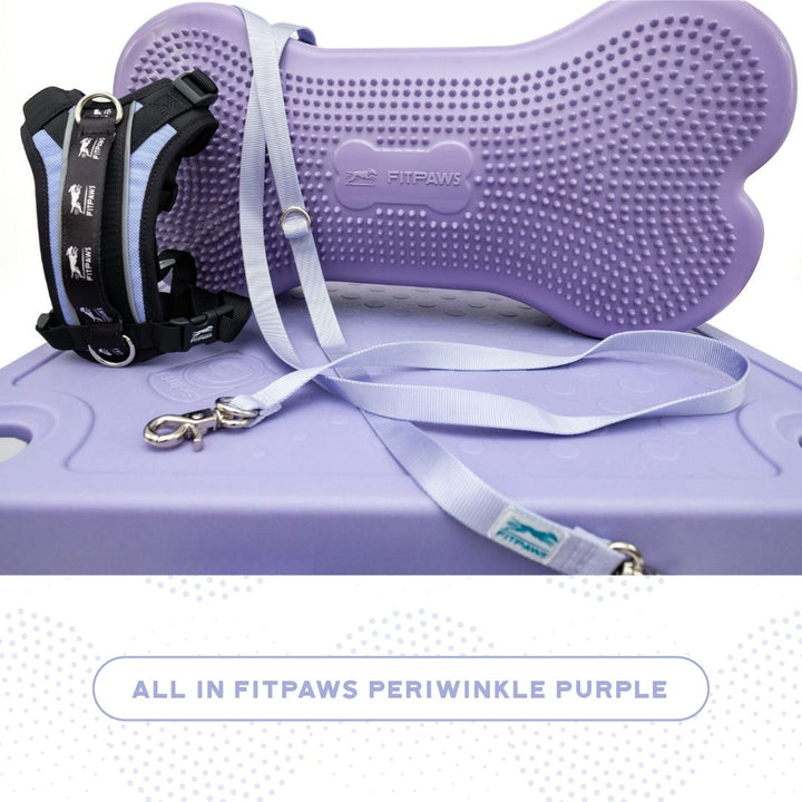 Blue-9 x FitPaws Periwinkle Training Bundle