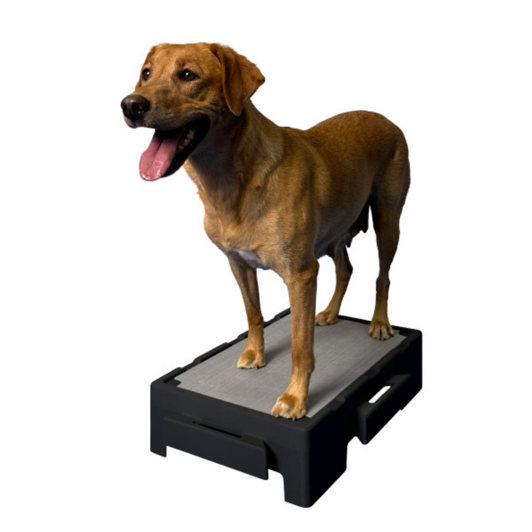 KLIMB Jr® – Blue-9 Pet Products KLIMB Jr® – Blue-9 Pet Products