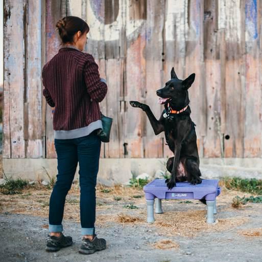 About Blue-9 Pet Products | Designed by Dog People