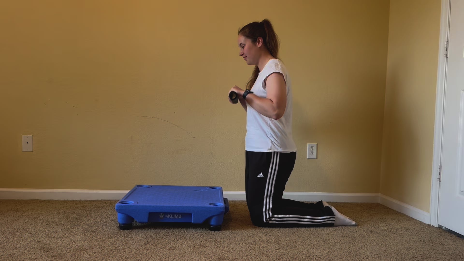 Blue-9 KLIMB Traction Mat | Non-Slip Rubber Dog Training Platform